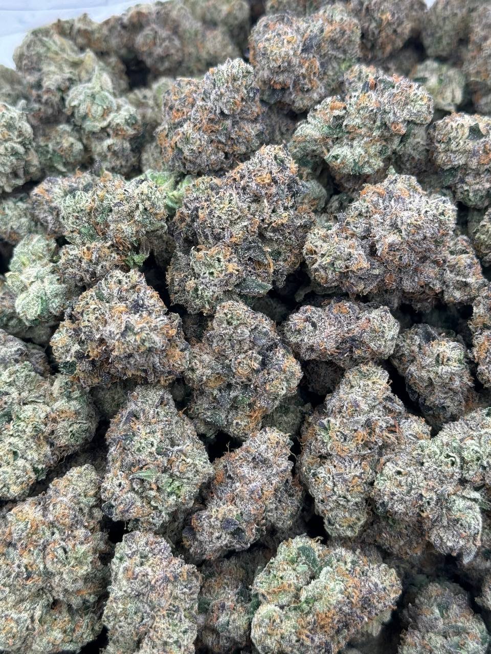 photo_2024-09-21_21-12-54