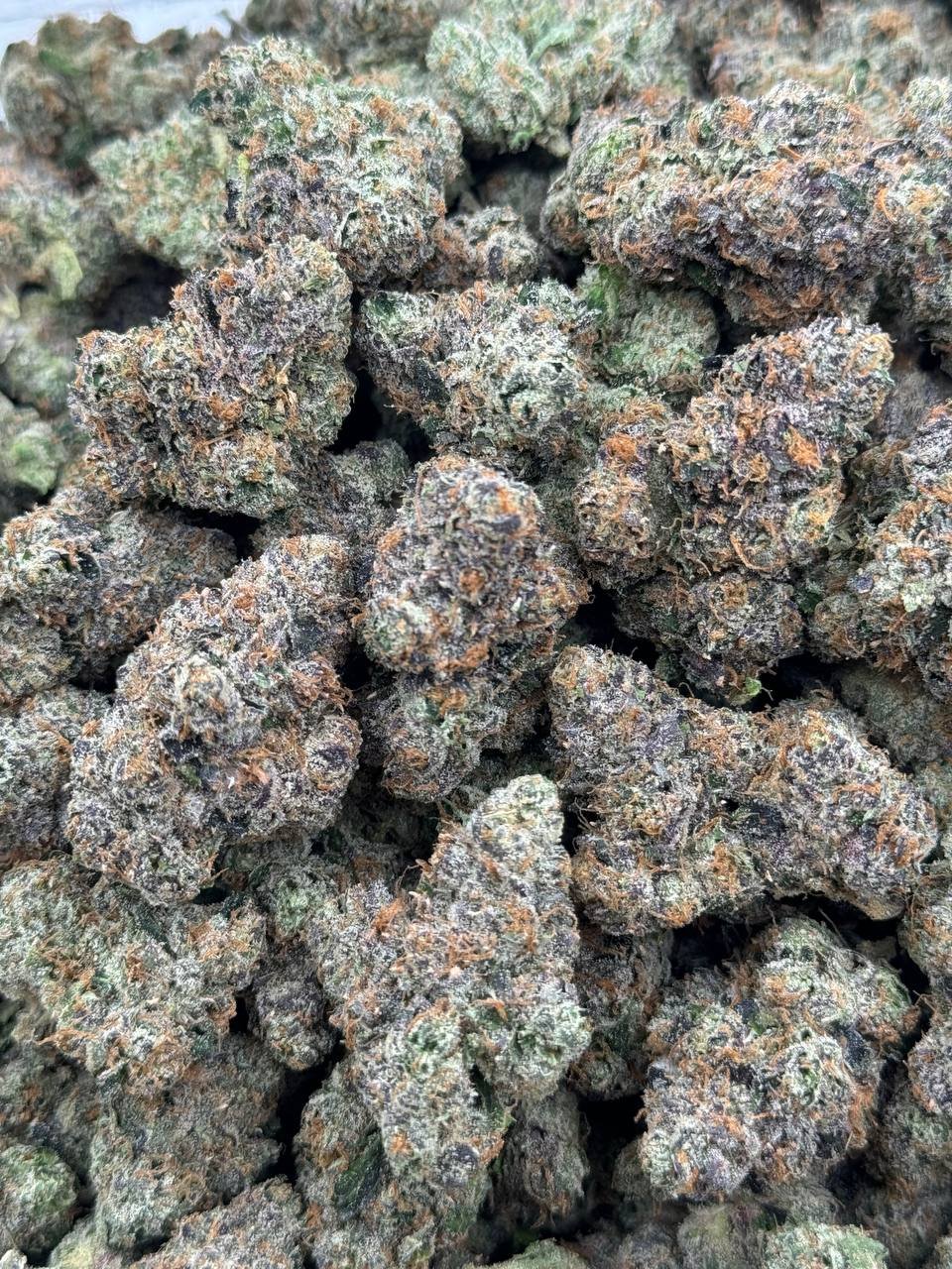 photo_2024-09-21_21-26-16