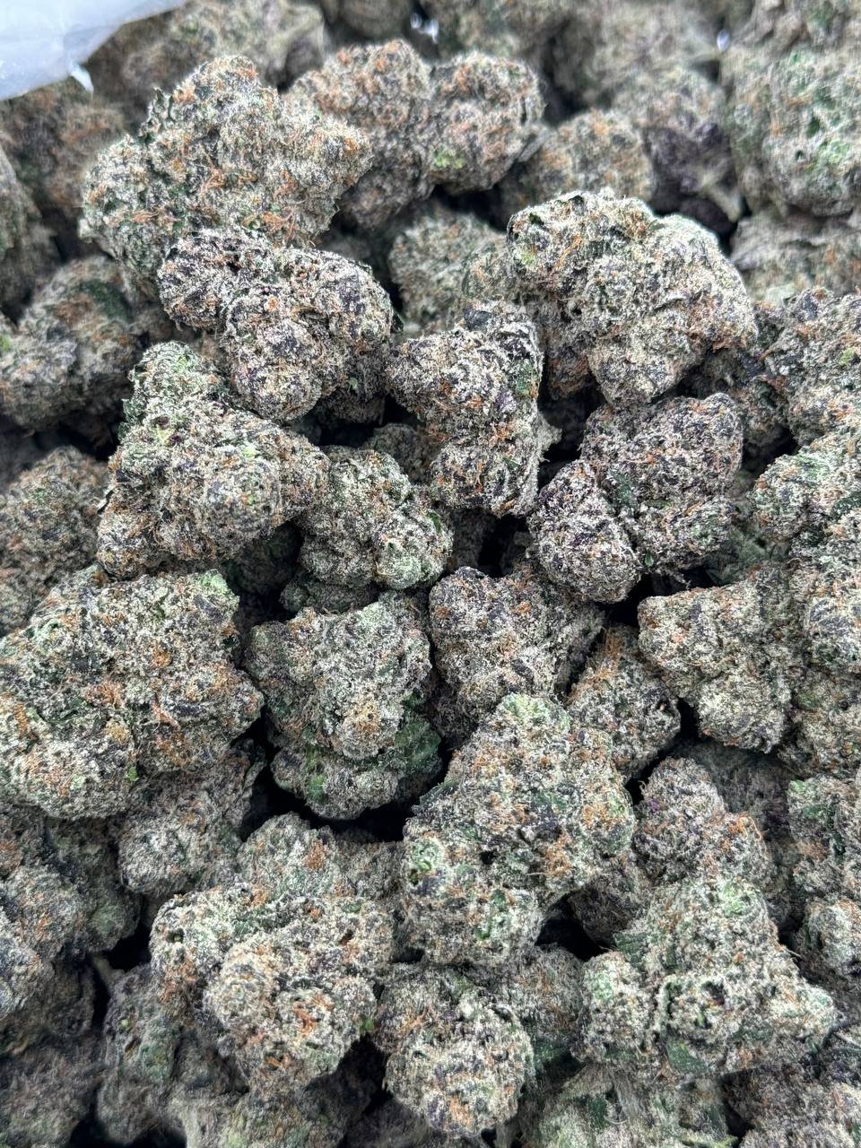 photo_2024-09-21_21-45-51