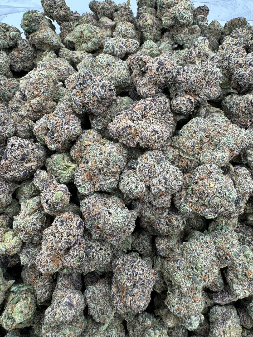 photo_2024-10-12_16-45-30